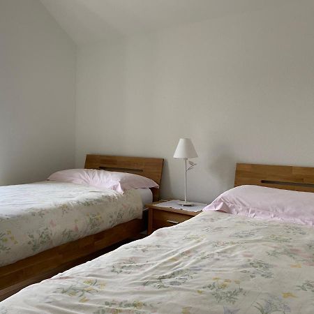 Losone - Locarno, Rustico San Giorgio Kültér fotó